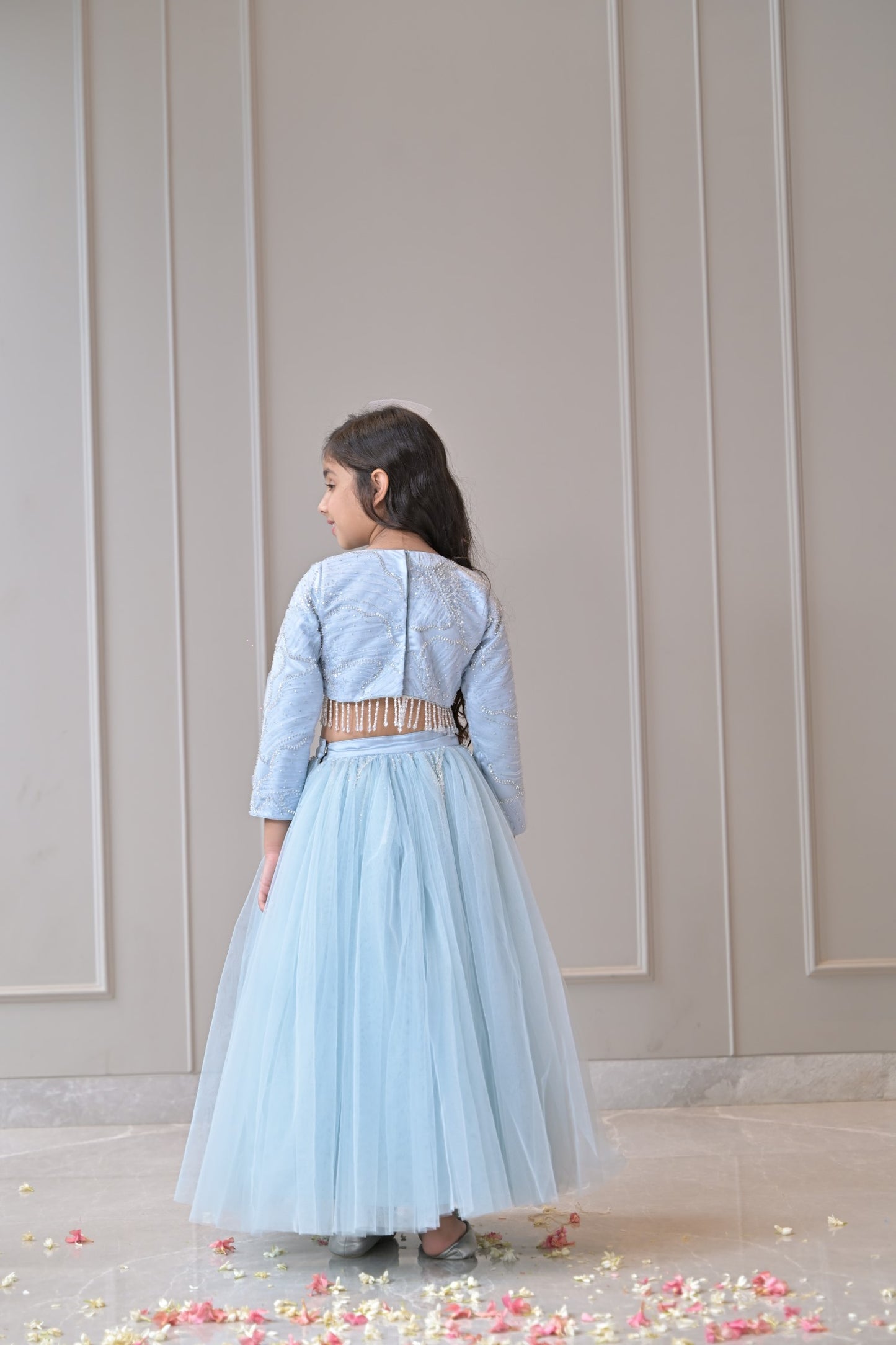 Powder Blue Silver Lehenga Set