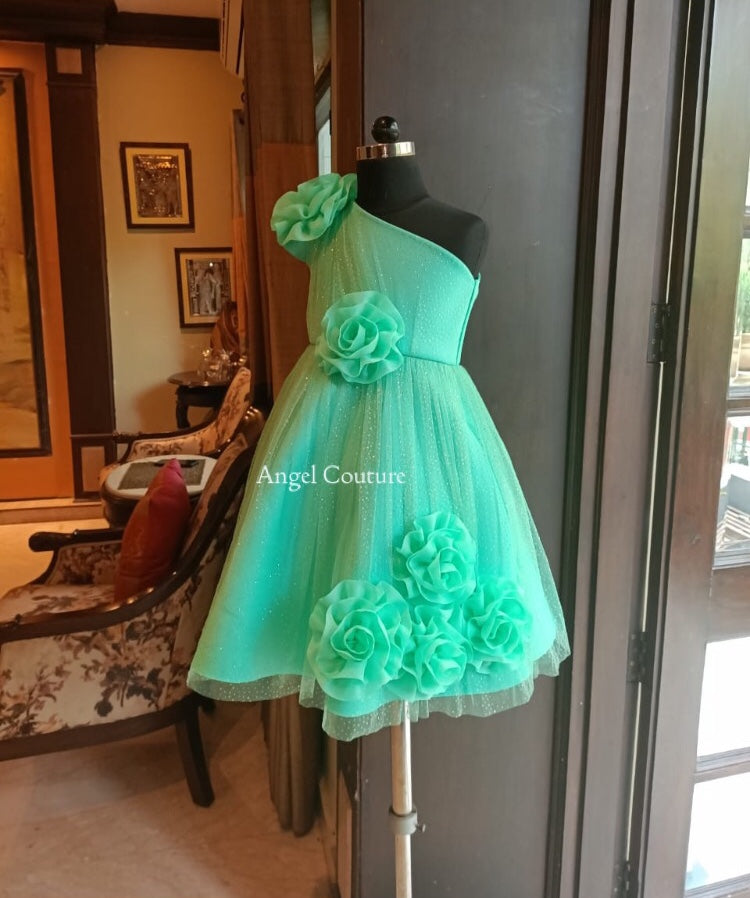 Mint Green 5 Rose Dress