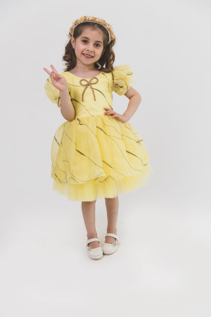 Yellow Organza Sequence Dress