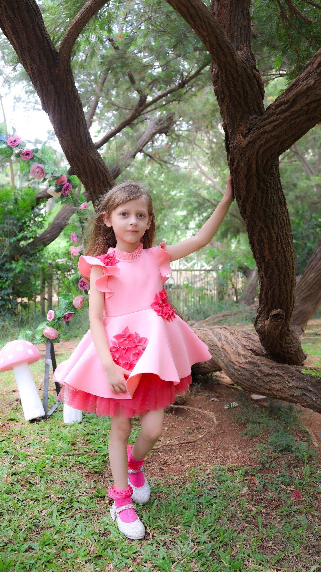 Shades Of Pink Garden Dress With Net