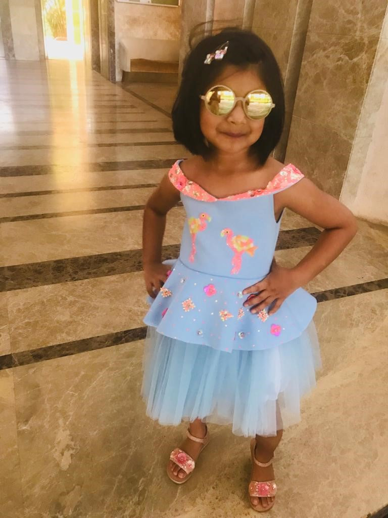 Powder Blue Offshoulder Flamingo Dress