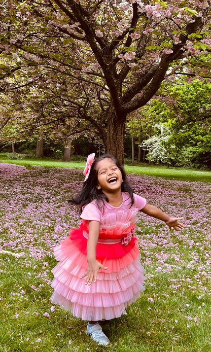 Shades Of Pink Multilayer Net Glitter Roses Dress