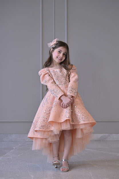 Peach Silver Jhilmil Short Long Gown