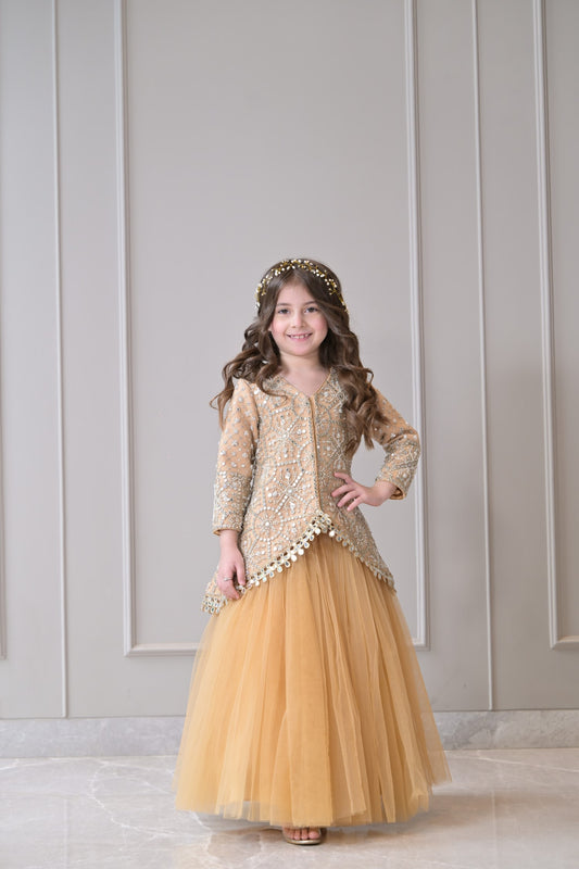 Camel Mirror Embroidered Short Long Lehenga Set