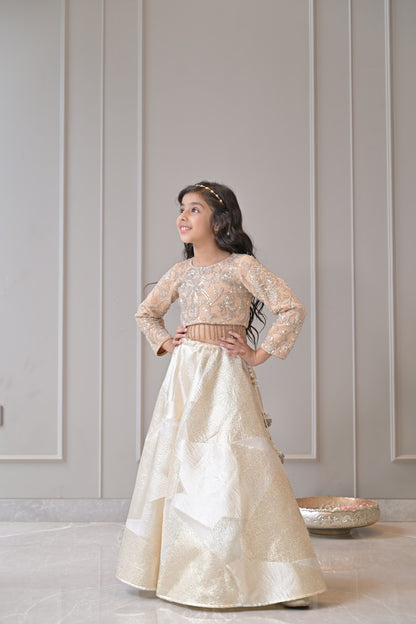 Beige Silver Gold Embroidered Lehenga Set