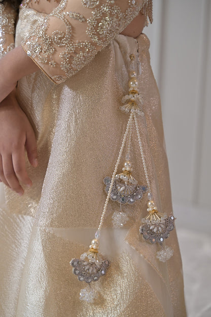 Beige Silver Gold Embroidered Lehenga Set