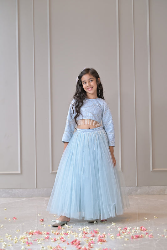 Powder Blue Silver Lehenga Set