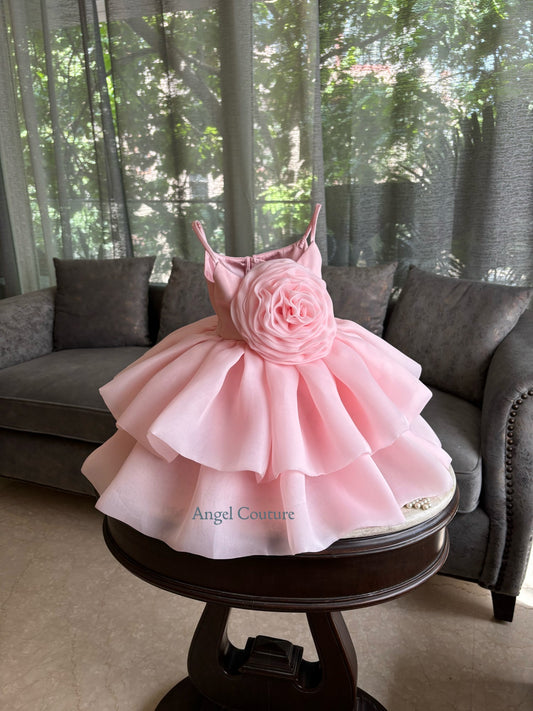 Baby Pink Dense Rose Organza Dress