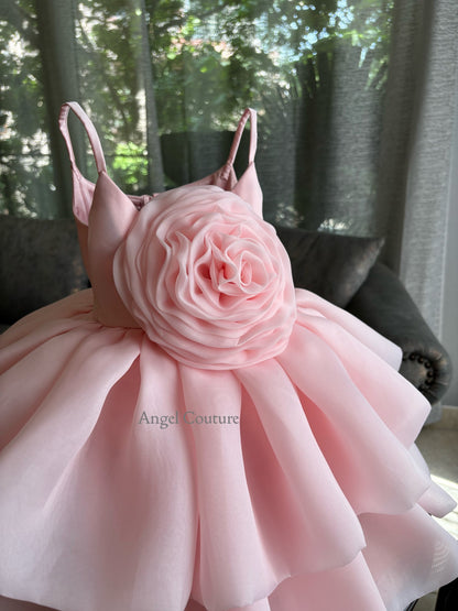 Baby Pink Dense Rose Organza Dress