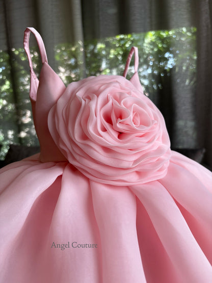 Baby Pink Dense Rose Organza Dress