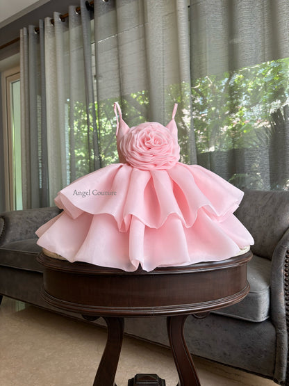 Baby Pink Dense Rose Organza Dress