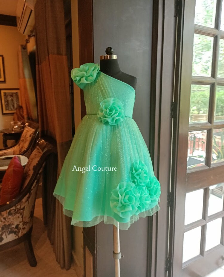 Mint Green 5 Rose Dress