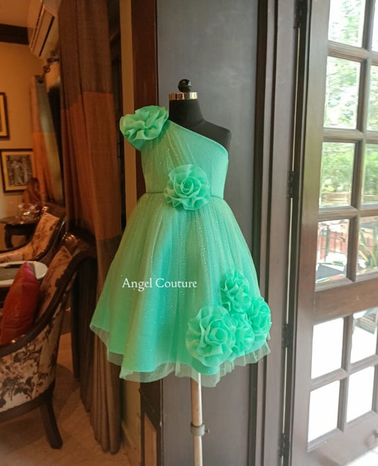 Mint Green 5 Rose Dress