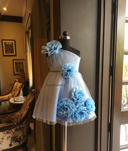 Powder Blue One Shoulder 6 Rose Dress