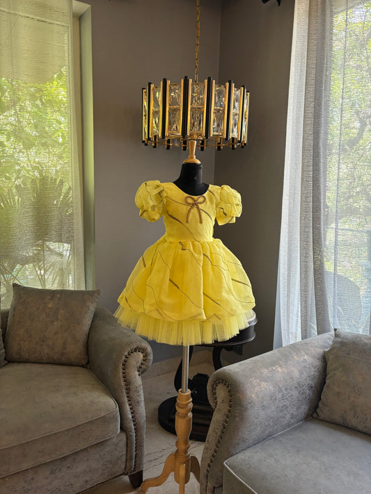 Yellow Organza Sequence Dress