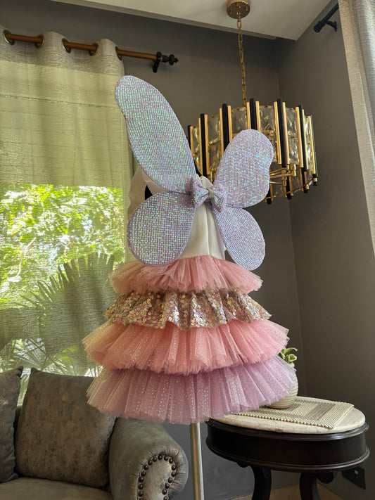 Fairy Wings And Wand