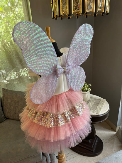Fairy Wings And Wand