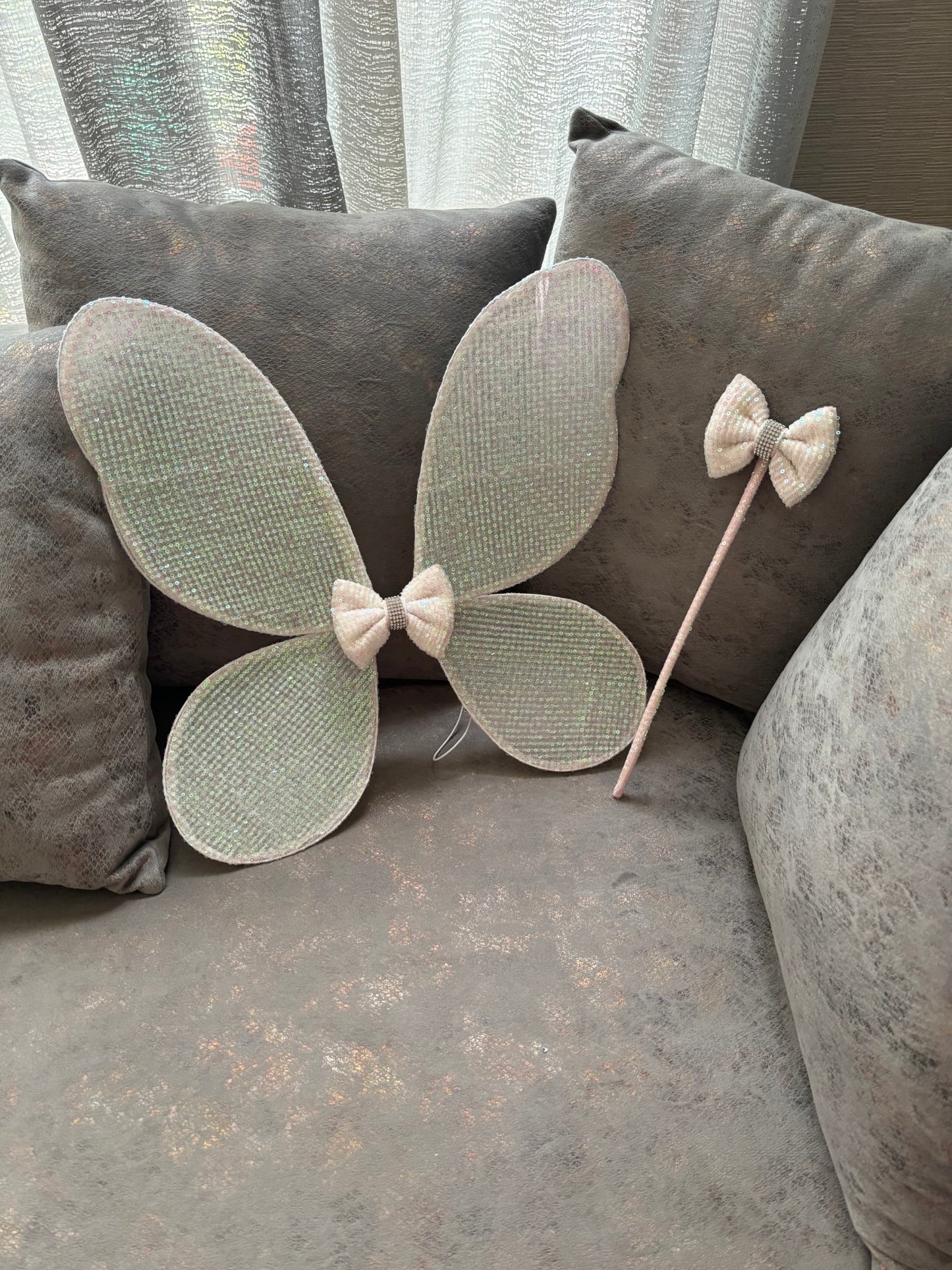 Fairy Wings And Wand