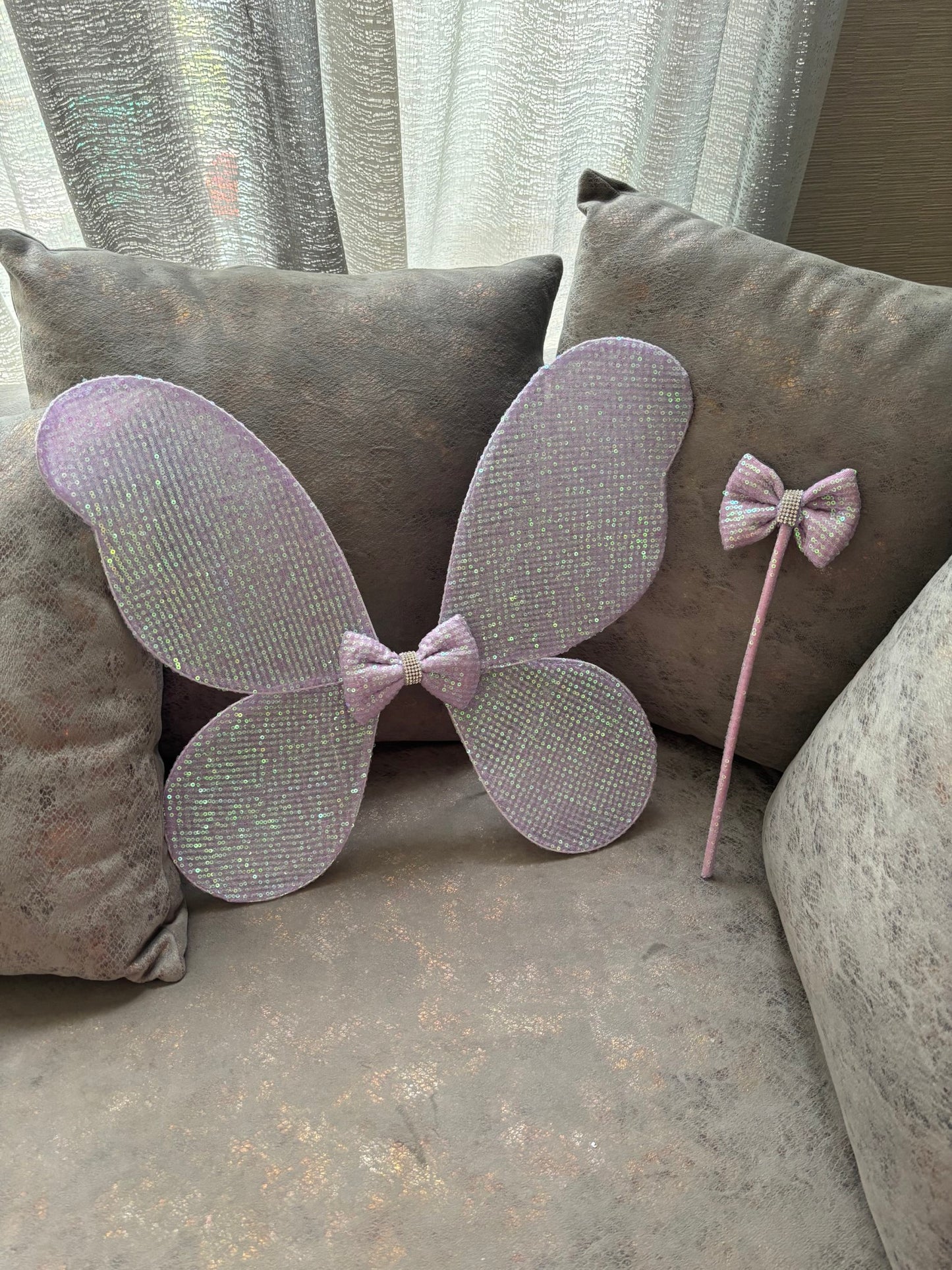 Fairy Wings And Wand