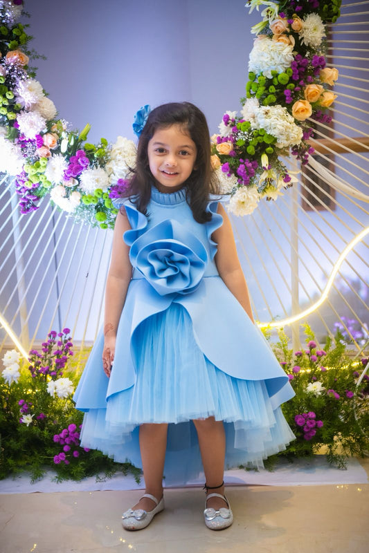 Powder Blue Big Rose Short Long Gown