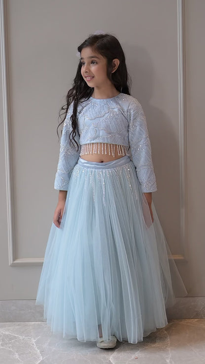Powder Blue Silver Lehenga Set