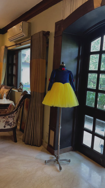 Royal Blue Yellow Snow White Dress