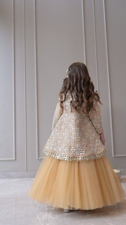 Camel Mirror Embroidered Short Long Lehenga Set