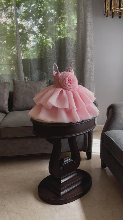 Baby Pink Dense Rose Organza Dress