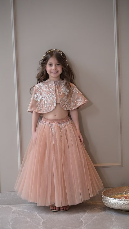 Nude Silver Cape Lehenga Set