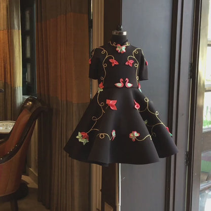 Black Swan Dress