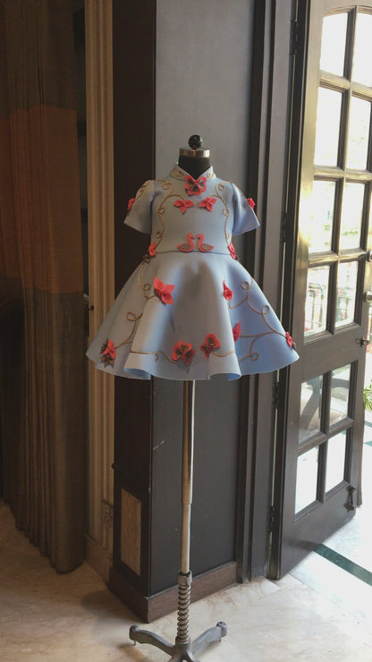 Powder Blue Swan Dress