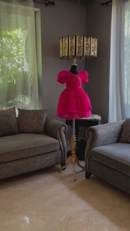 Fuchsia Pink Organza Sequnence Dress